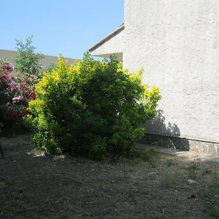 Appartement La Plage En Provence Le Pradet Værelse billede